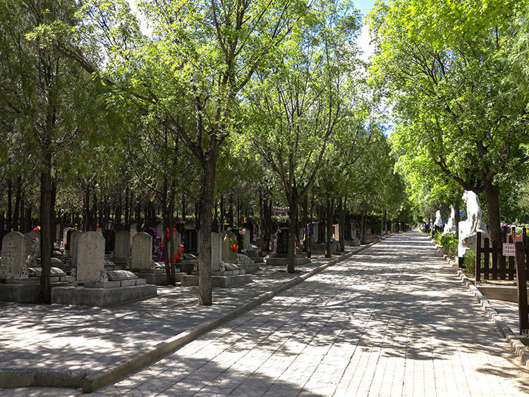 c4689d20-73b1-11ee-8380-1b8504a8cd46.JPG
