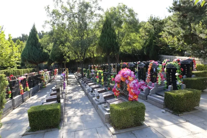 c5b4e400-b1a5-11ed-85ac-f920131e10cc.png